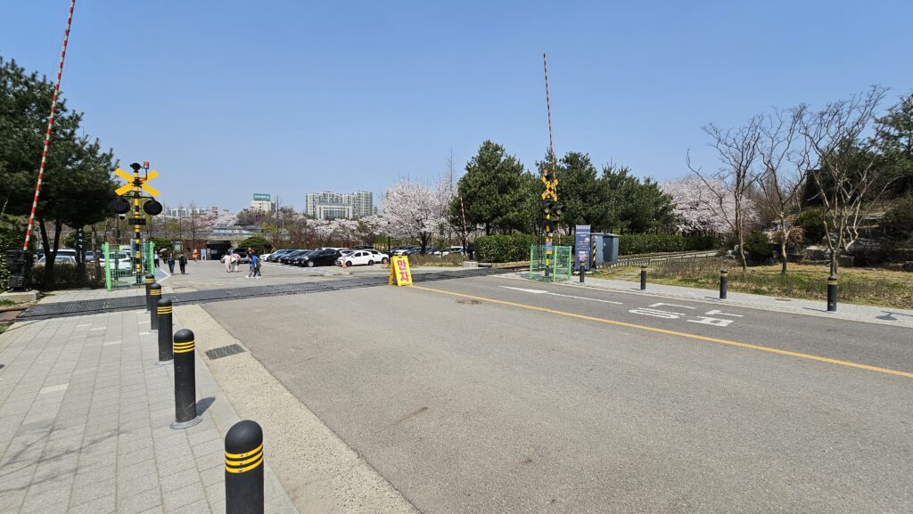 항동 푸른수목원