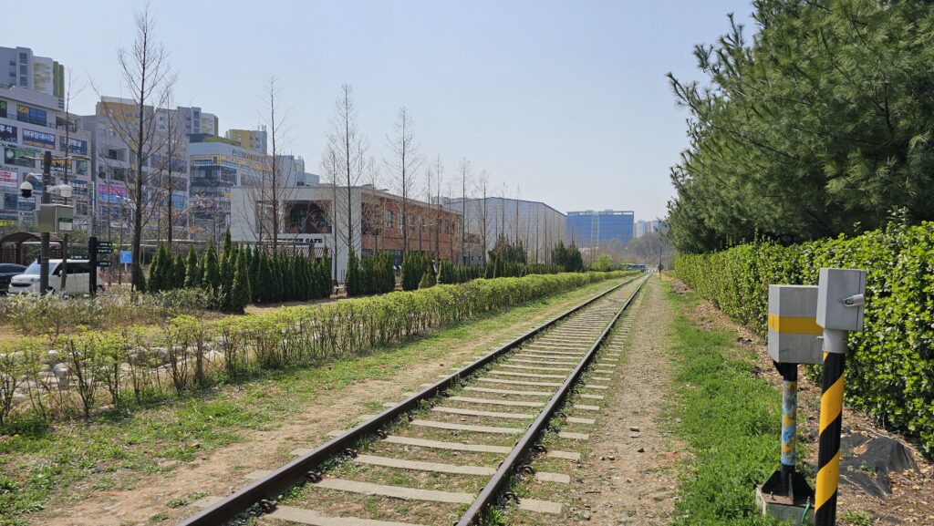항동 푸른수목원